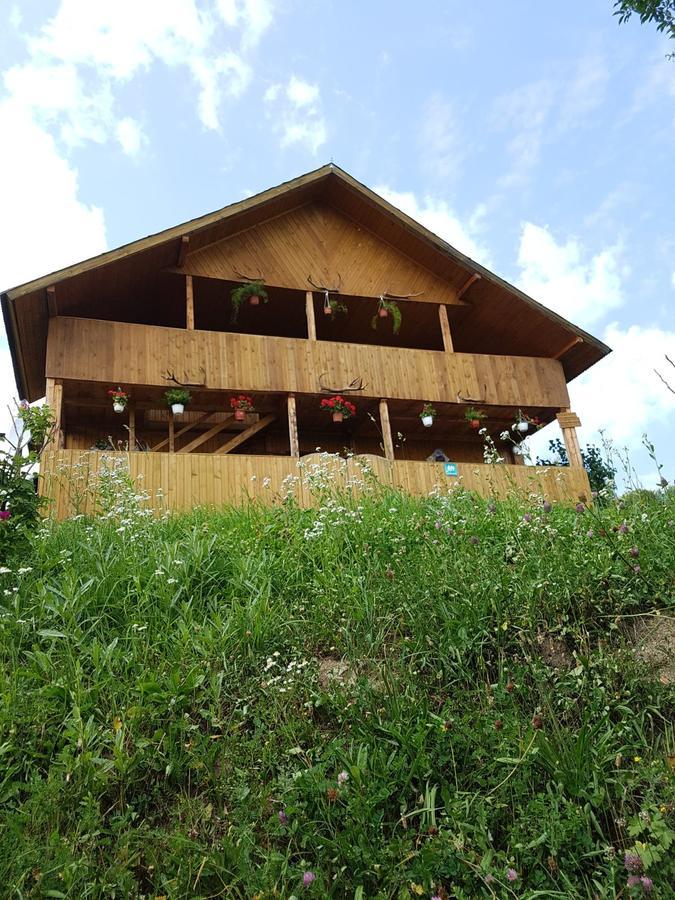 Cabana Suciu Vila Rachitele Exterior foto